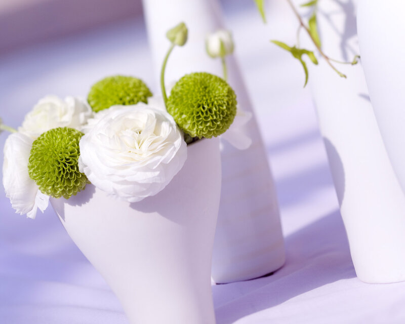 White and Green Flowers — Serene, Afternoon