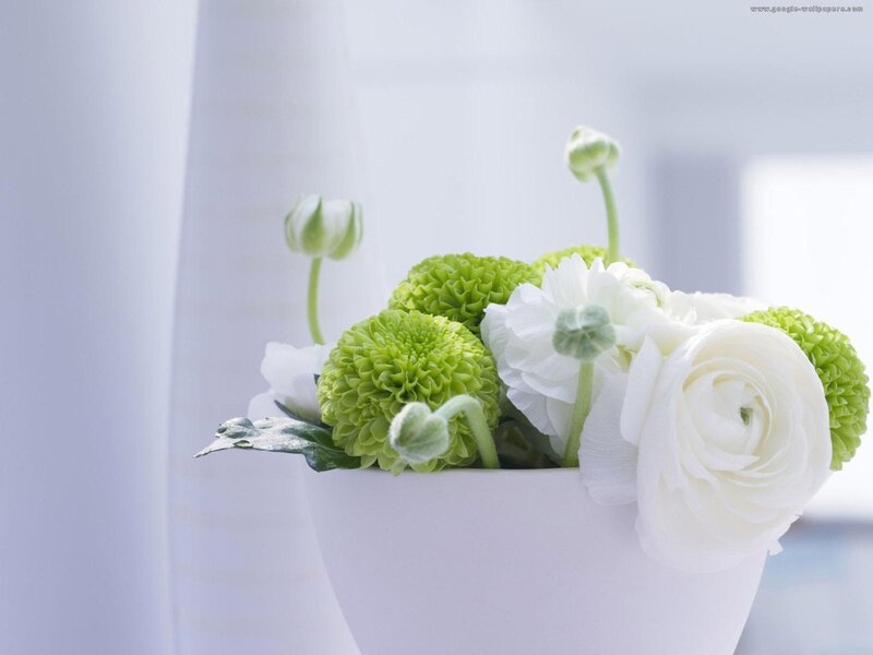 White and Green Flowers — Serene, Photograph