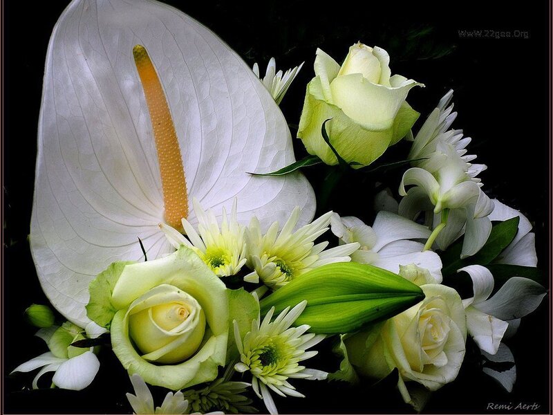 White and Green Flowers — Serene
