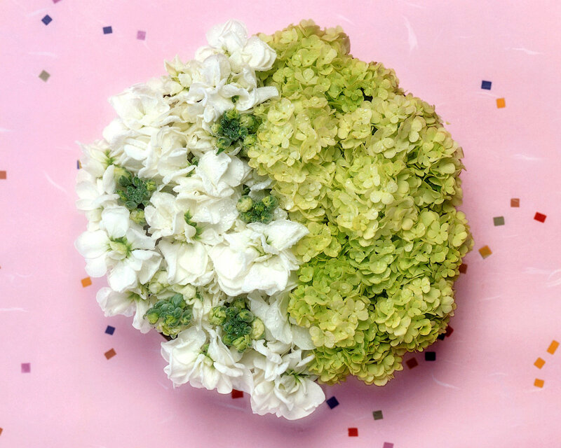 White and Green Hydrangea