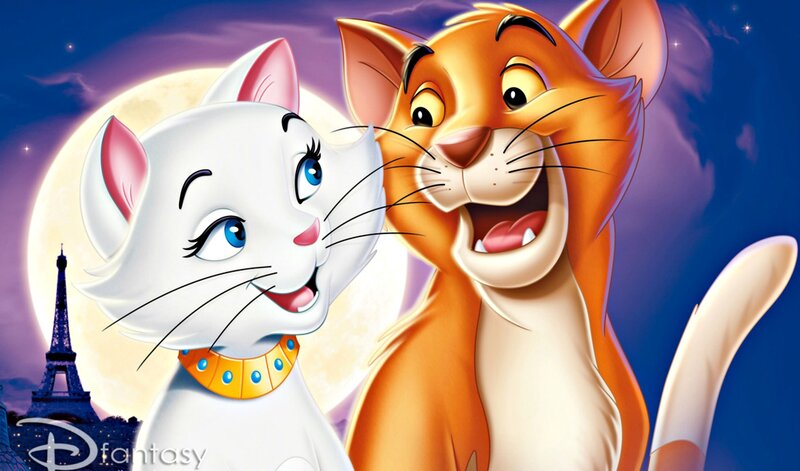 White and Orange Cats — Blue