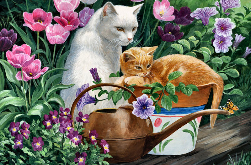 White and Orange Cats