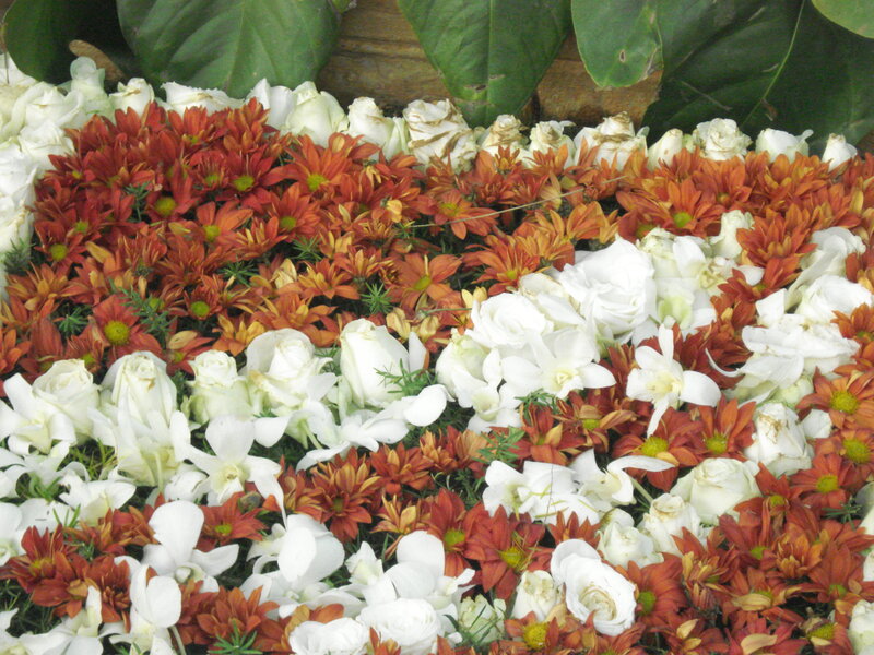 White and Orange Flowers — Calm
