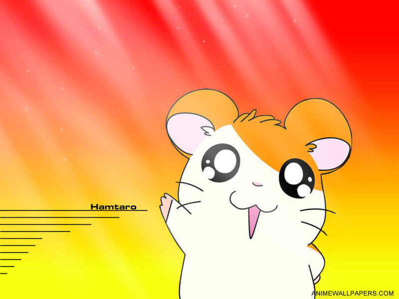 White and Orange Hamster