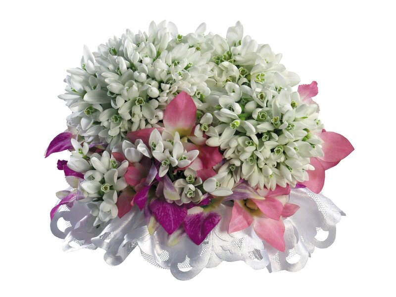 white and pink flower bouquet