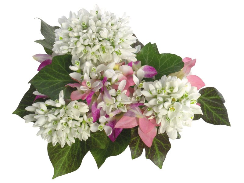 white and pink flower bouquet