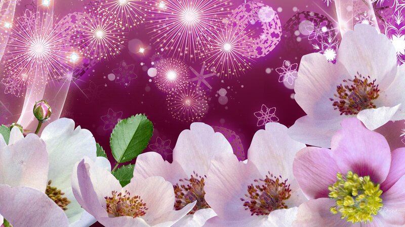 White and Pink Flowers — Purple