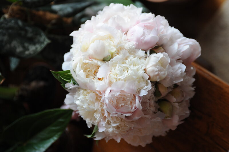 White and Pink Peonies