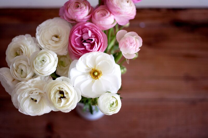 White and Pink Ranunculus — Calm