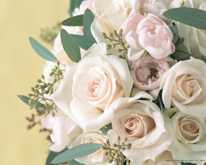 white and pink roses bouquet