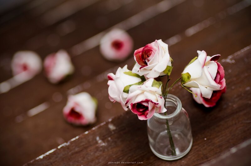 White and Pink Roses — Brown