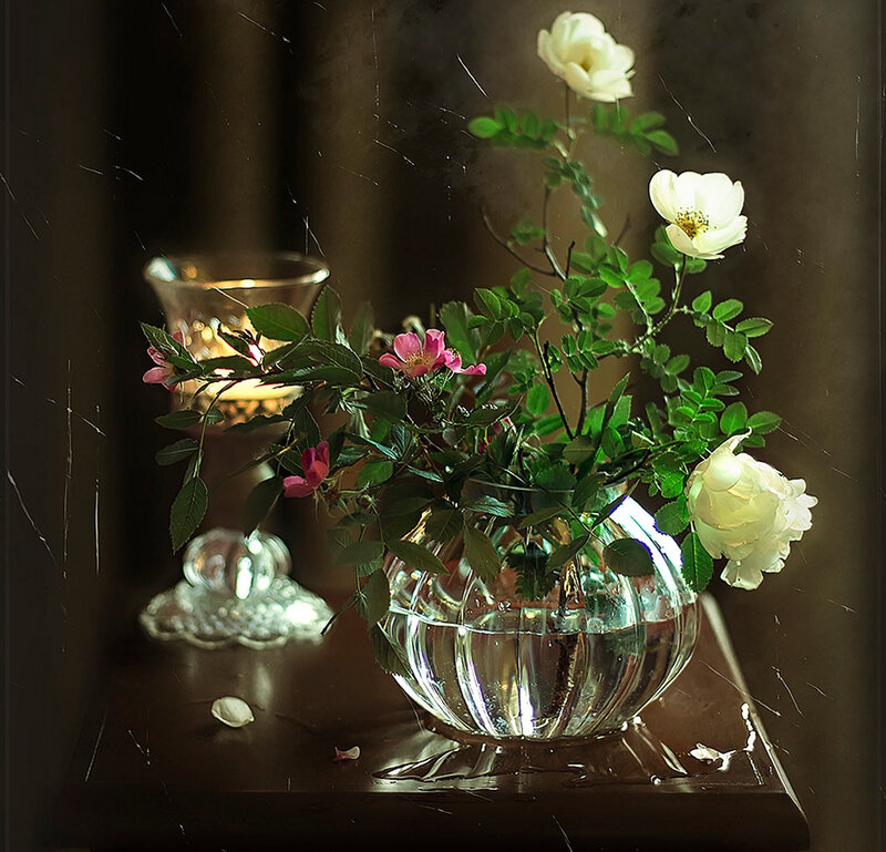 White and Pink Roses — Green
