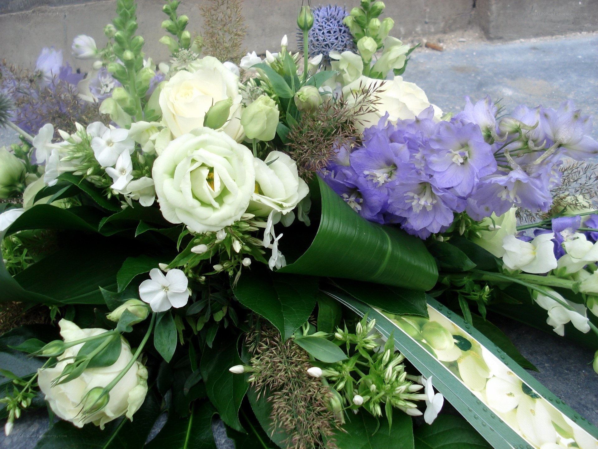 white and purple flower arrangement