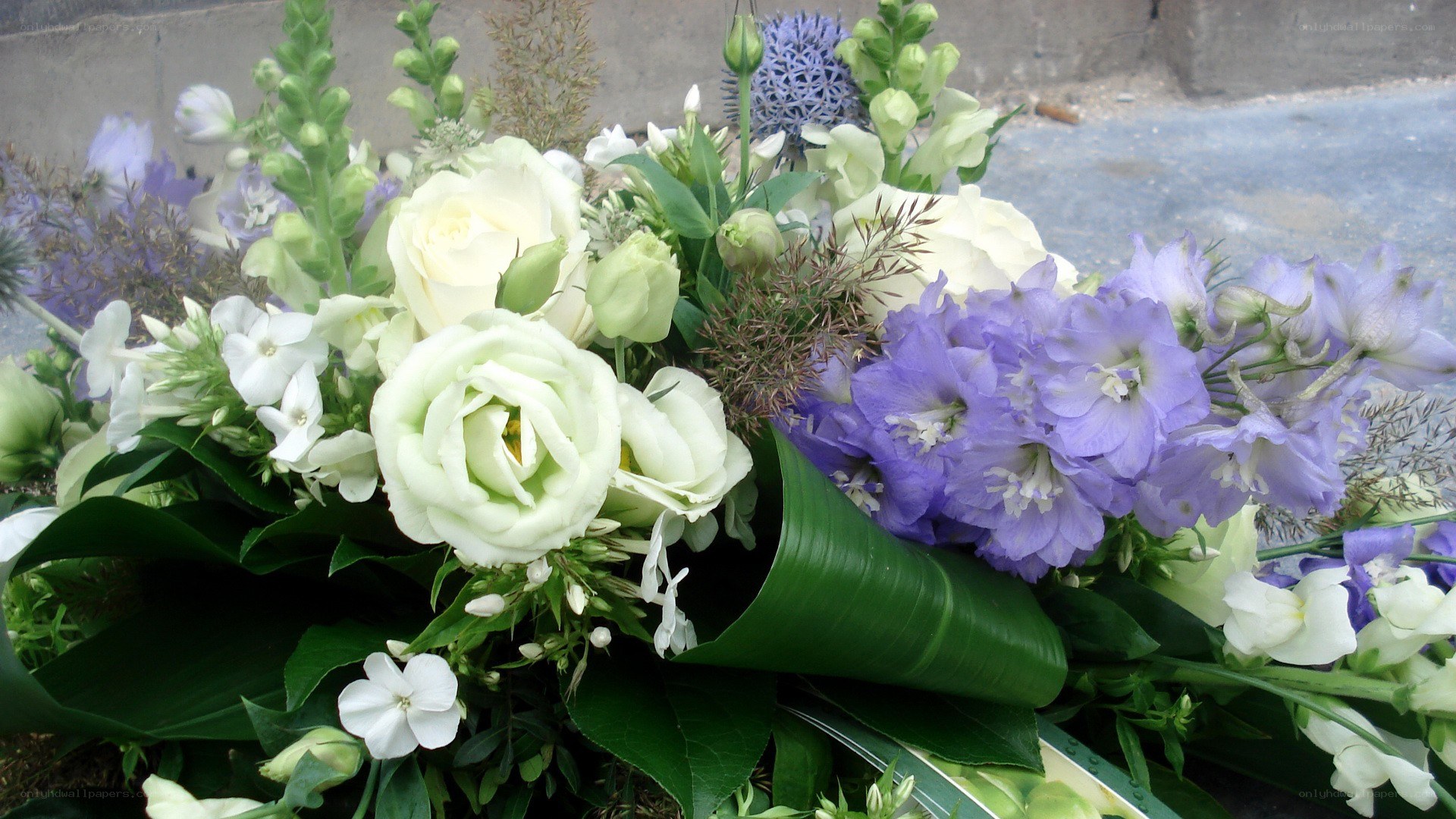 white and purple flower arrangement