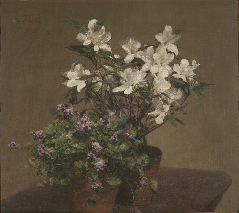 White and Purple Flowers — Brown