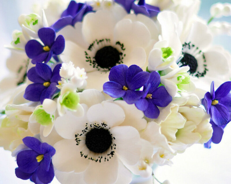 White and Purple Flowers — Calm, Photograph, Anemones