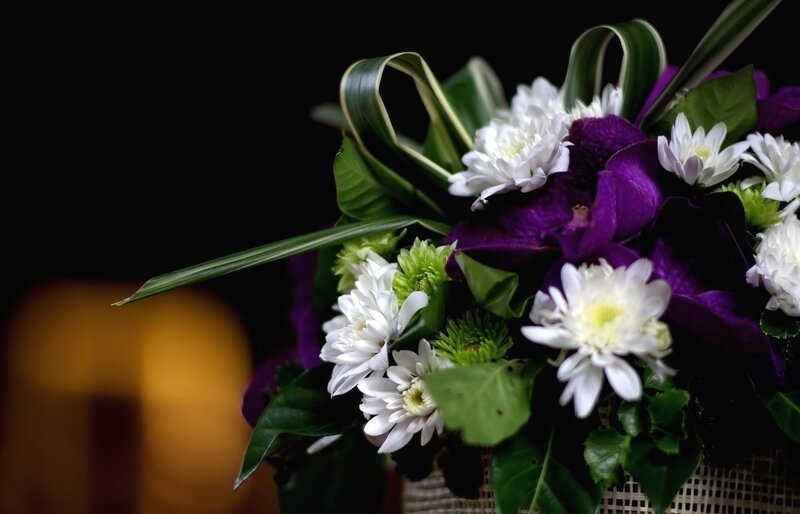 White and Purple Flowers — Dramatic, Photograph, Green Leaves