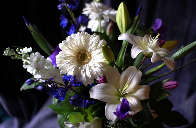 White and Purple Flowers — Dramatic, Photograph, Lilies