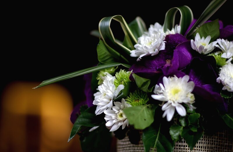 White and Purple Flowers — Dramatic, Photograph