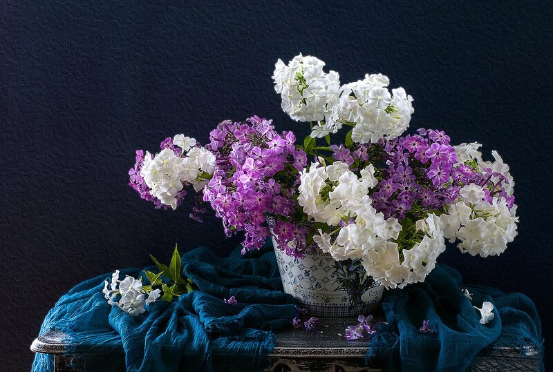 White and Purple Flowers — Dramatic, Photograph, Vase, Cloth