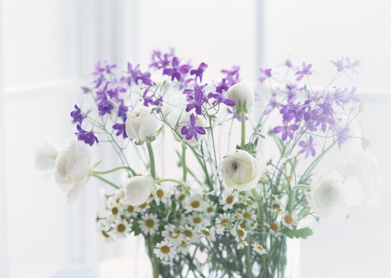White and purple flowers in a vase