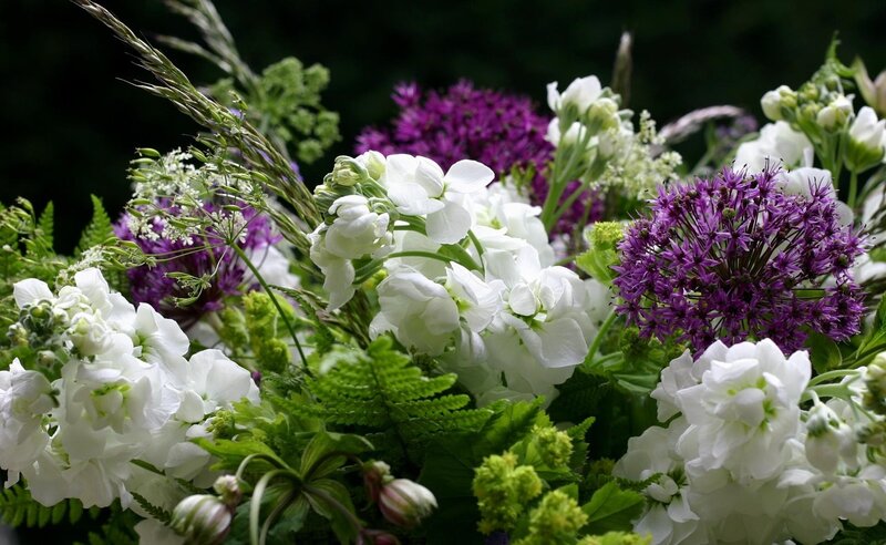 White and Purple Flowers — Natural, Summer