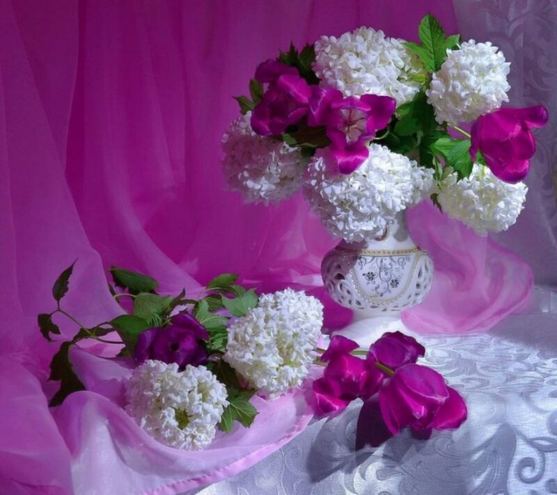 White and Purple Flowers — Pink, Serene