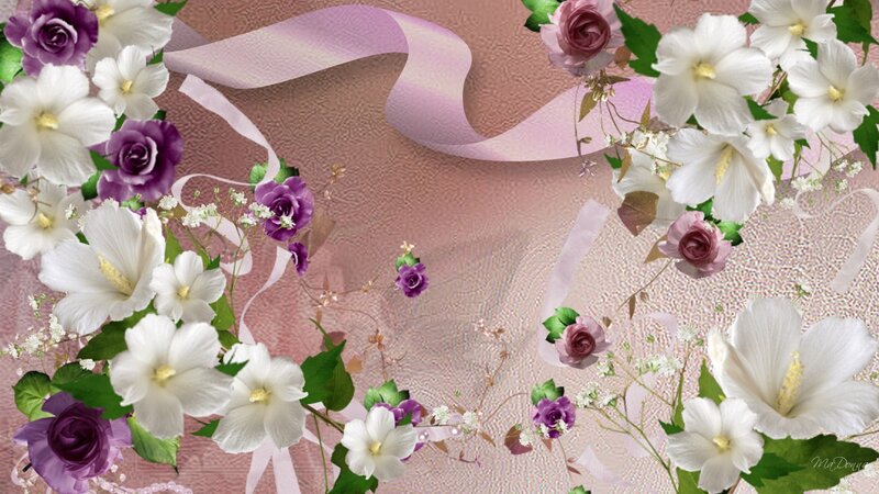 White and Purple Flowers — Pink