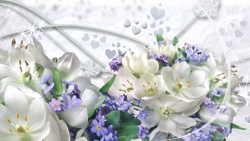 White and Purple Flowers — Romantic