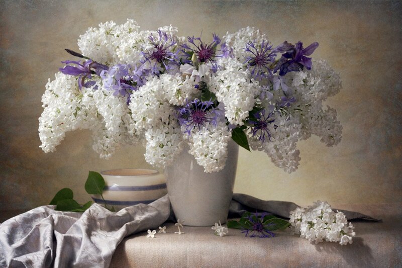 White and Purple Flowers — Serene, Painting