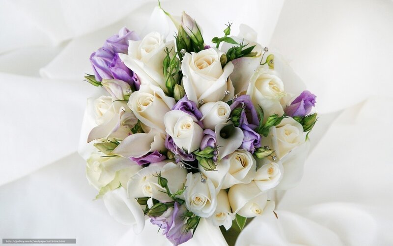 White and Purple Roses — Serene