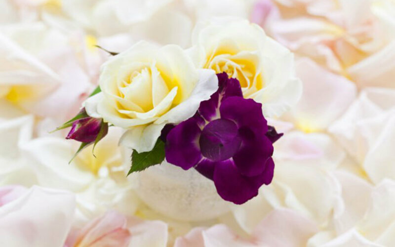 White and Purple Roses