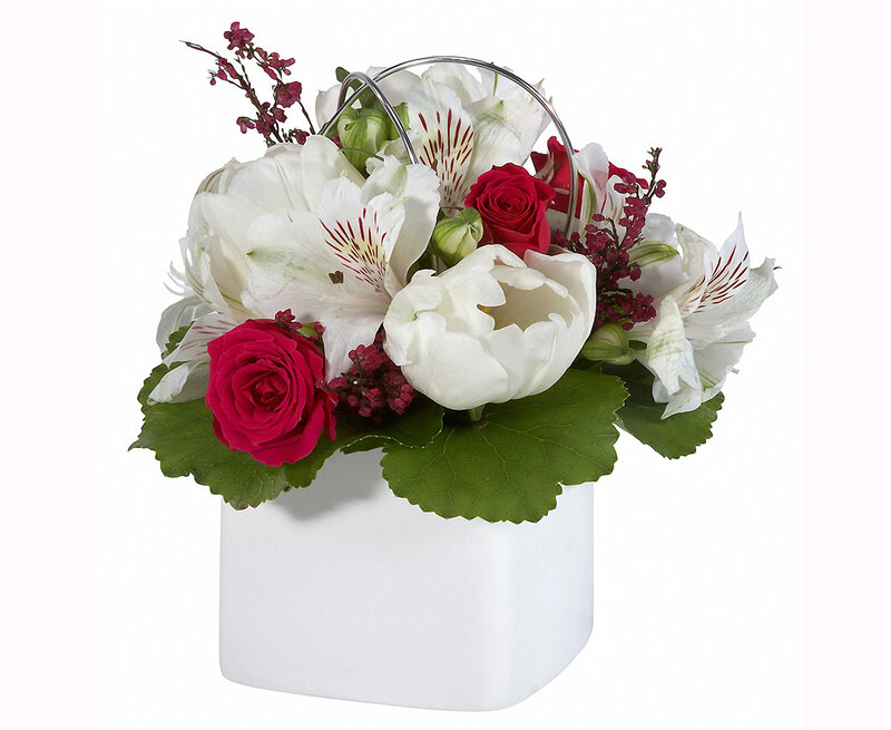 White and Red Flowers — Elegant
