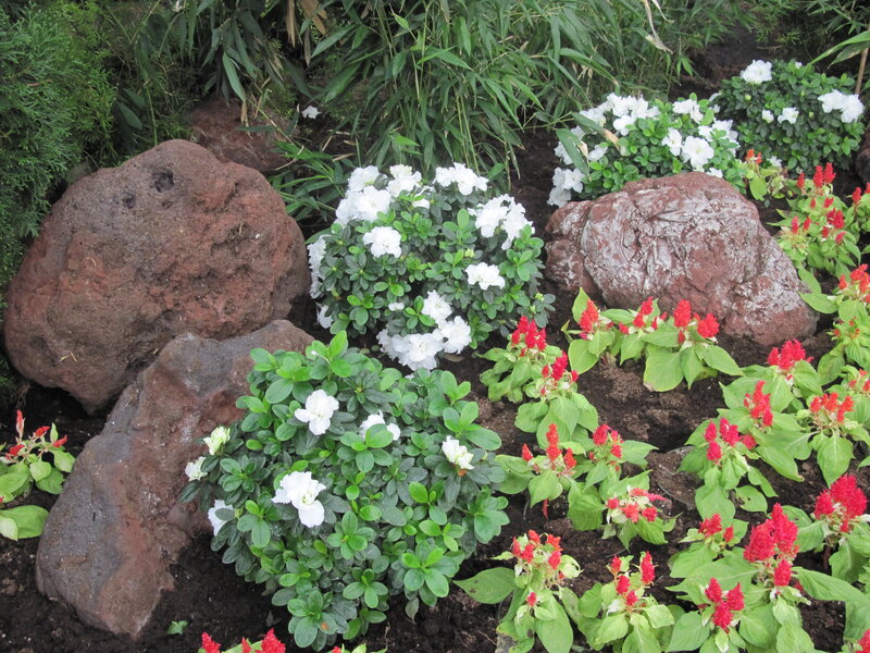 White and Red Flowers — Green, Calm