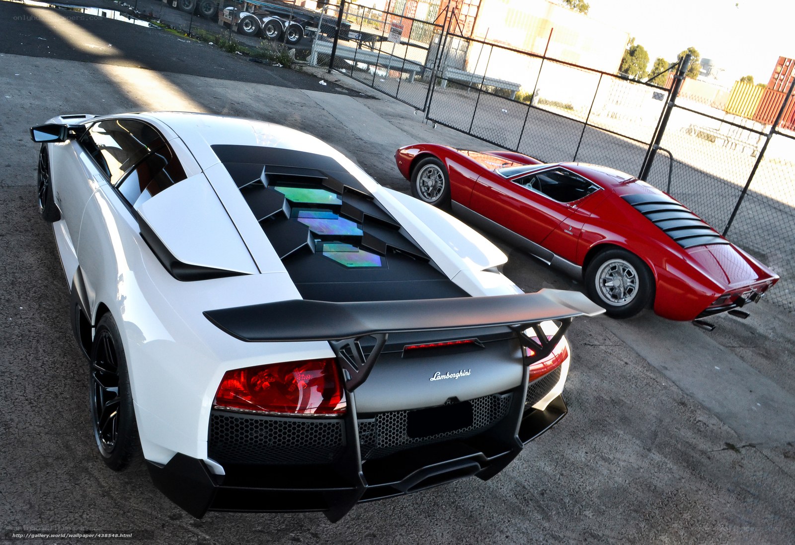 White and red Lamborghini cars
