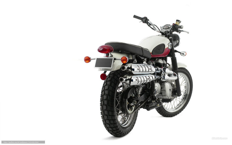 White and Red Motorcycle — Neutral, Photograph, Seat, Exhaust