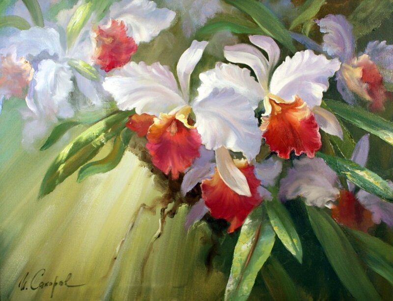 White and Red Orchids
