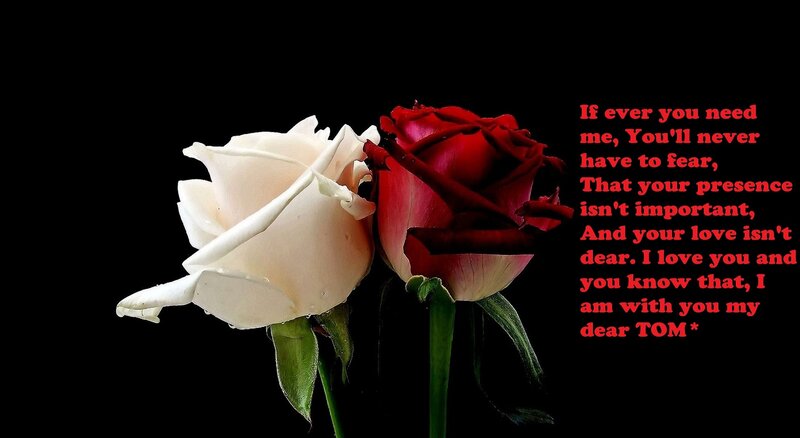 White and Red Roses — Black