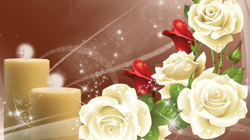 White and Red Roses — Brown