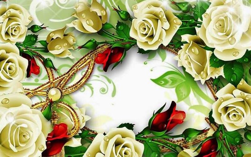 White and Red Roses — Elegant
