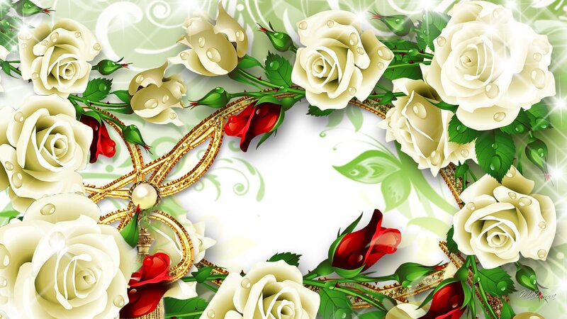 White and Red Roses — Ornate