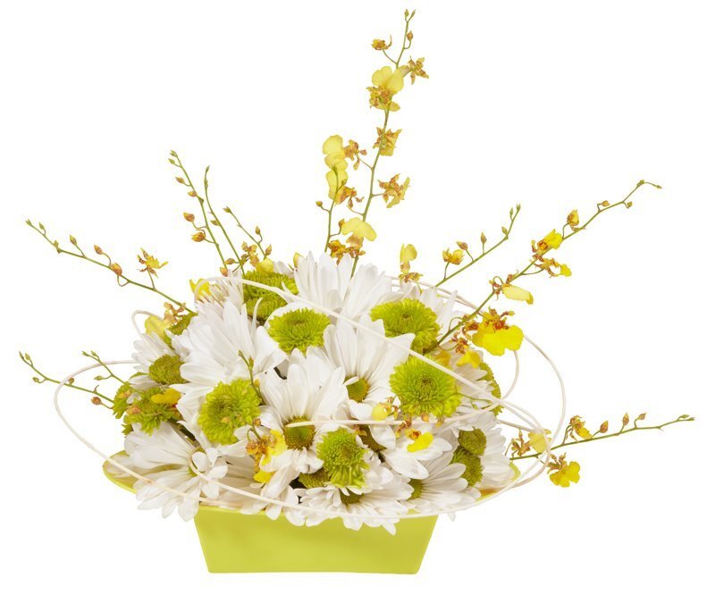 White and Yellow Flowers — Calm, Photograph