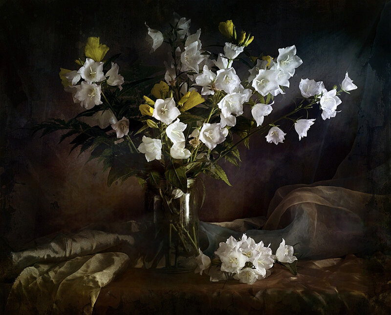 White and Yellow Flowers — Dramatic