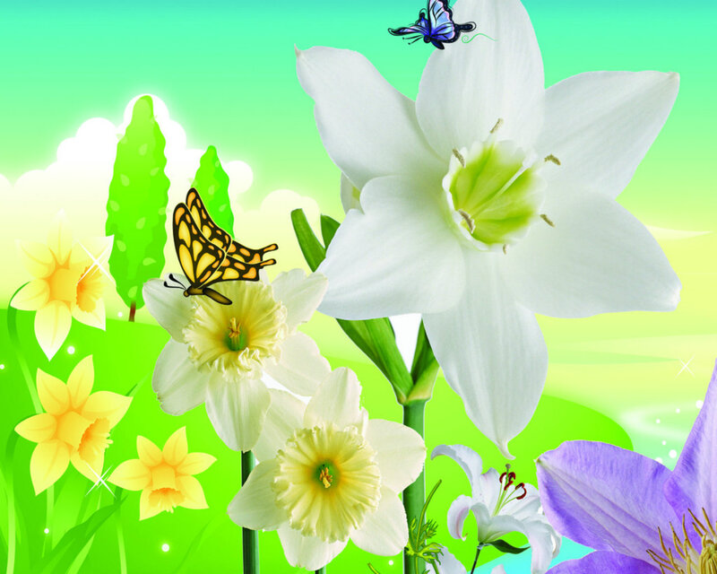 White and Yellow Flowers — Green, Cheerful