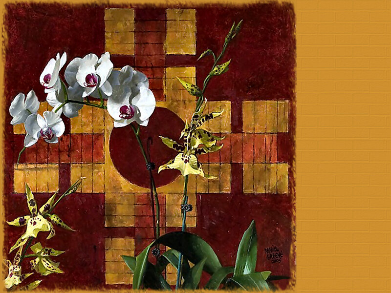 White and Yellow Orchids