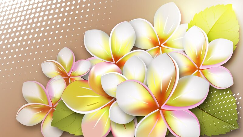 White and Yellow Plumeria Flowers — Calm, Digital Art