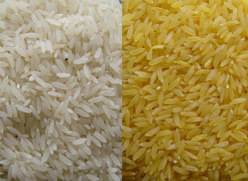 White and yellow rice grains