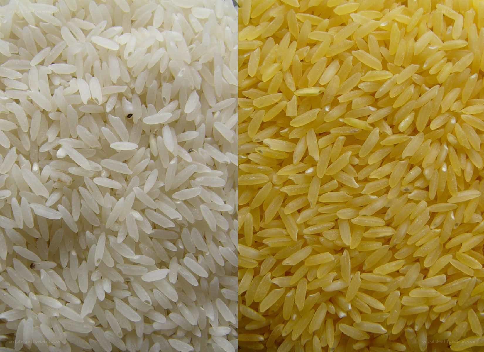 White and yellow rice grains