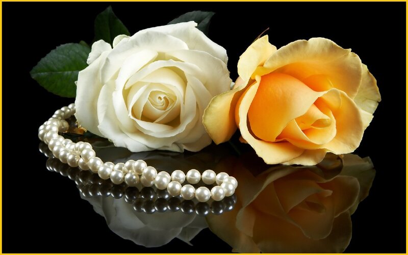 White and Yellow Roses — Black, Dramatic