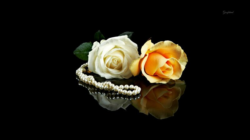 White and Yellow Roses — Black, Serene, Photograph